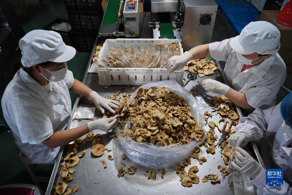 捕鱼游戏平台有哪些